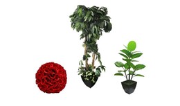 Faux Flowers, Plants, & Trees